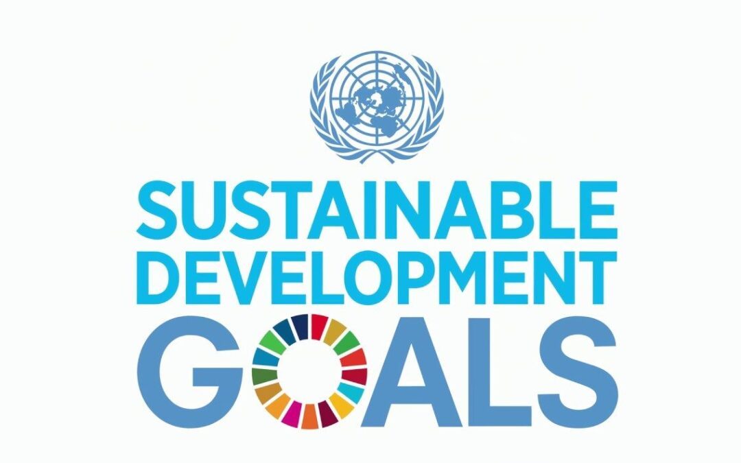 Building a Better Future: Understanding the Sustainable Development Goals (SDGs)