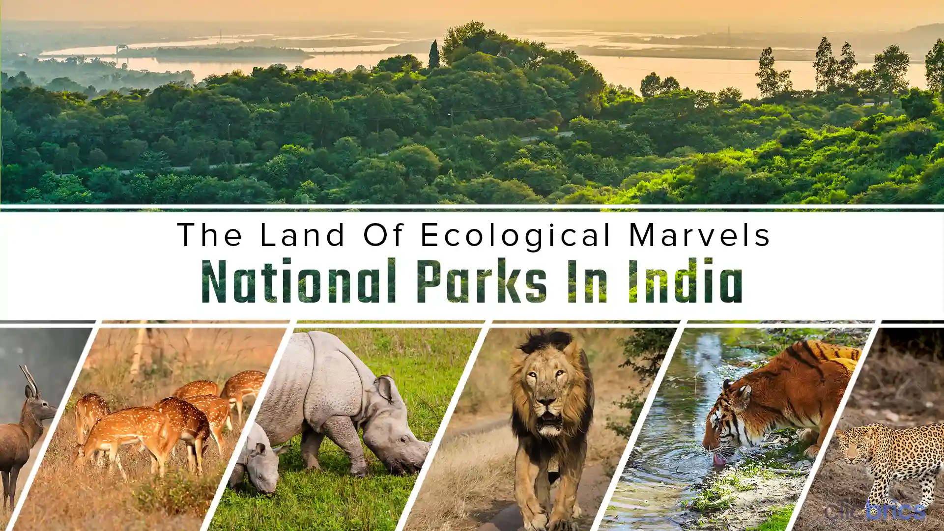 List of National Parks in India